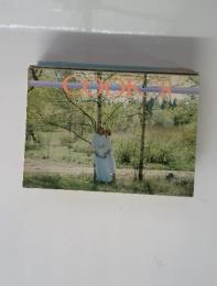 cook 8 1977年9月