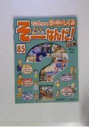 そーなんだ！85