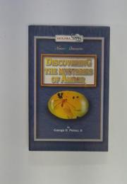 DISCOVERING THE MYSTERIES OF AMBER