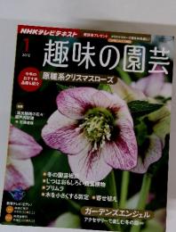 趣味の園芸　2012年1月