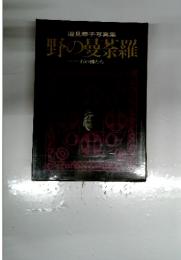 野の曼荼羅 石の佛たち