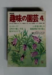 NHK　趣味の園芸 　ミニ野菜の楽しみ 観葉植物の寄せ植え