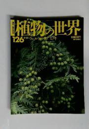 植物の世界　1997年9月グ