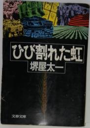 ひび割れた虹