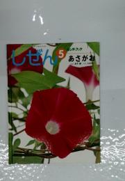 しぜん5　あさがお