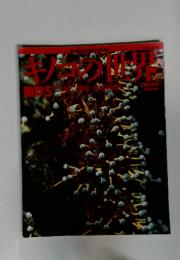 キノコの世界　菌界５