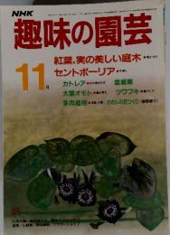 趣味の園芸 紅葉,実の美しい庭木 セントポーリア 11月号