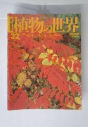 植物の世界　32　11/20　センダン ウルシ マンゴー