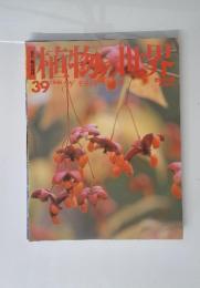 植物の世界　39　1/8・15　ツゲモチノキニシキギ