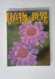 植物の世界　9　6/12　マツムシソウ オミナエシ