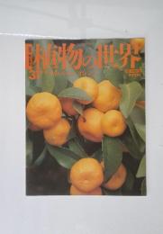 植物の世界　31　11/13　ライムレモンオレンジ
