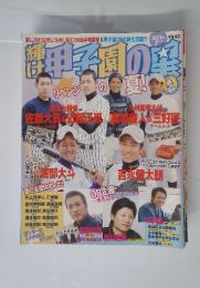 甲子園の星　2011年7月