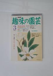 趣味の園芸　3月号　増ページ特集 アイビーを楽しむ