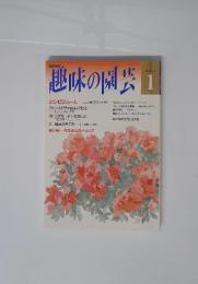 趣味の園芸　1月号　巻末特集 冬を彩る花ベゴニア