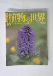 植物の世界　No.16　7／31号