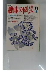 趣味の園芸　6月