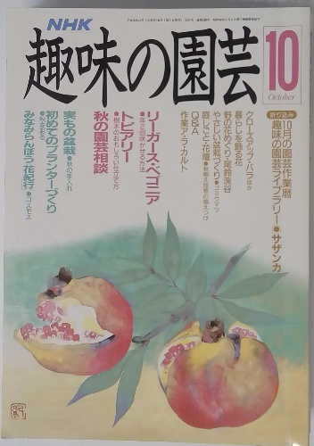 学問としての四柱推命 その歴史と現代への応用 日沖宗弘 初版第