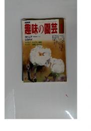 NHK趣味の園芸　1988年1月号