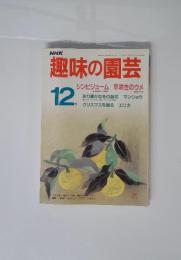 NHK　趣味の園芸　シンビジューム 早咲きのウメ