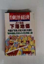 週刊東洋経済　どーなる下落地価