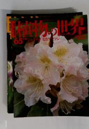 植物の世界65　シャクナゲヒカケツツジ