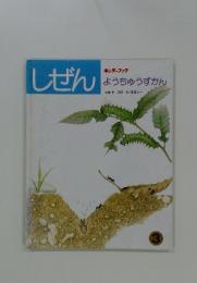 しぜん キンダーブック　ようちゅうずかん　3