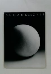 SUGANOCHII　愛と祈りのかたち 須賀野チイ作品集