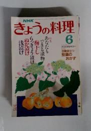きょうの料理　昭和63年6月1日