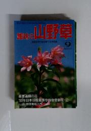 Monthly Magazine of Wild Flowers and Alpine Planta 京都 山野草