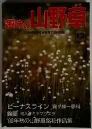 趣味の山野草