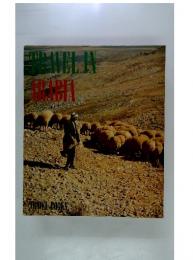 TRAVEL IN ARABIA