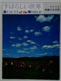 すばらしい世界 BEAUTY of the WORLD