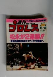 プロレス　1993年11月16日号　No.584