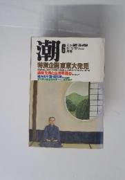 潮 1985年6月号