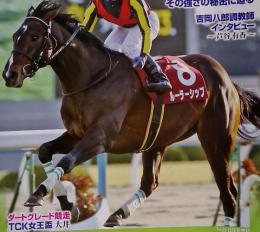 競馬ブンク　2011年 月6日号