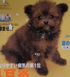 いぬのきもち　2005年　8月号