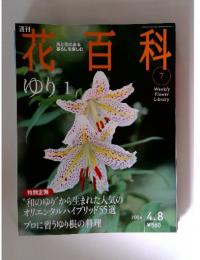 花百科 2004年4/8