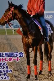 競馬ブック　2010年3月号