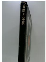 自然と写真