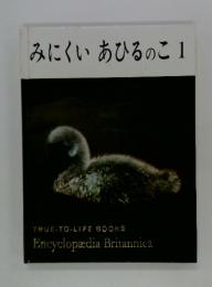 みにくいあひるのこ　1