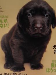 いぬのきもち　2005年12月号