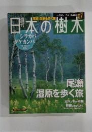 日本の樹木　Gakken 07　尾瀬 湿原を歩く旅