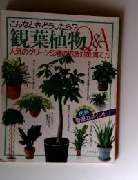 観葉植物 　人気のグリーン53種の応急対策、育て方