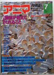 アニマ 1981年6月号