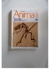アニマ 1992年9月 No.240