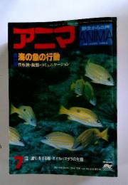 アニマ ANIMA