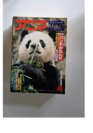 アニマ　パンダがなんだ　1978年4月号