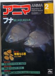ANIMA フナ　謎にみちた身近な魚