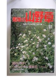 趣味の山野草　1992年11月号　No.148
