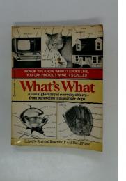 What's What　Avisual glossary of everyday objects- from paper clips to passenger ships